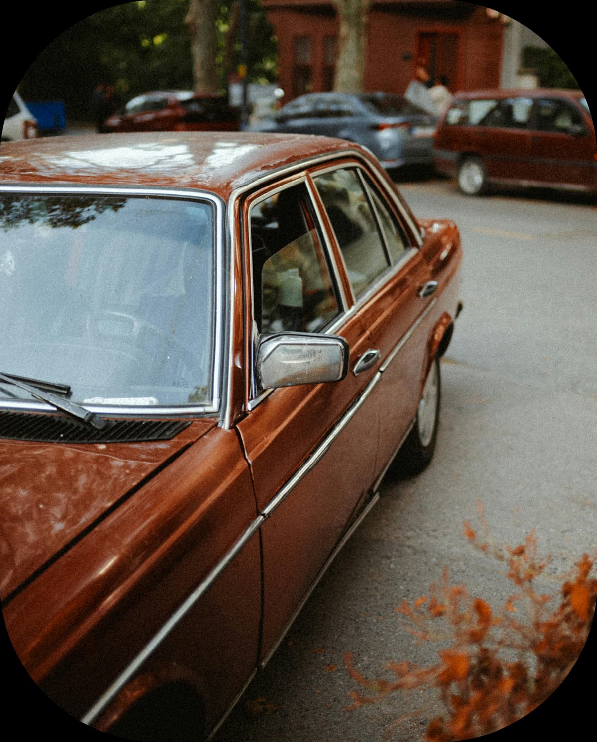 Car Insurance